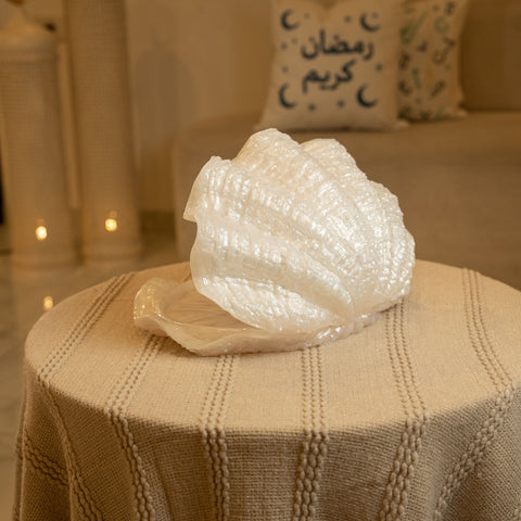 مضيفة على شكل صدفة - لون لؤلؤي - كبير